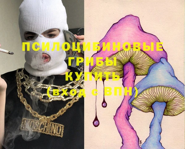 прущие крисы Пересвет
