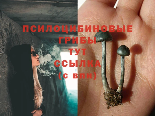 бошки Пестово